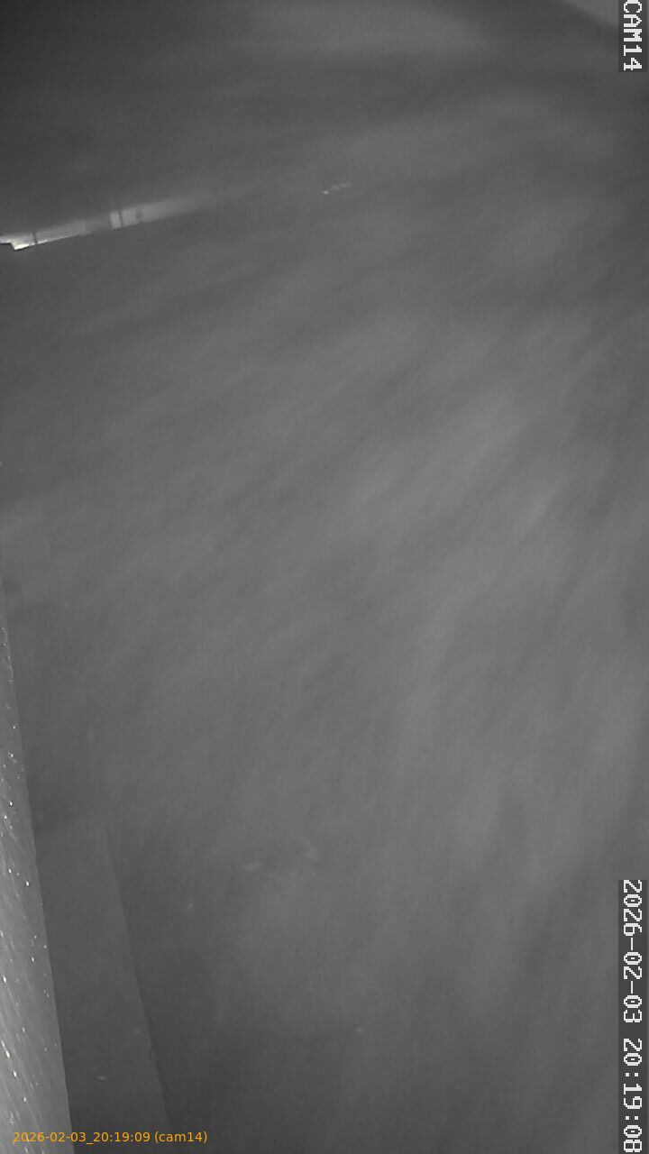 thumbnail_20260203201909