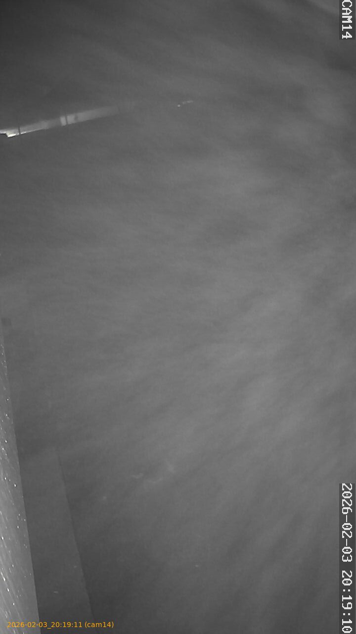 thumbnail_20260203201911