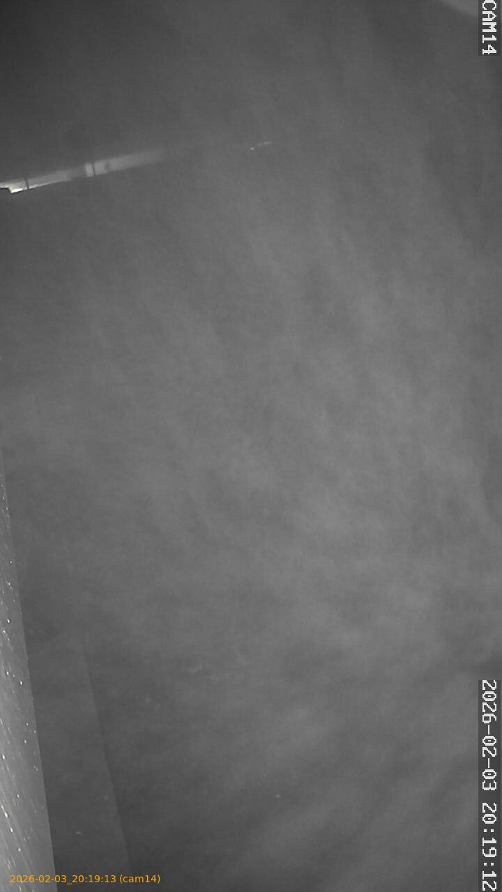 thumbnail_20260203201913