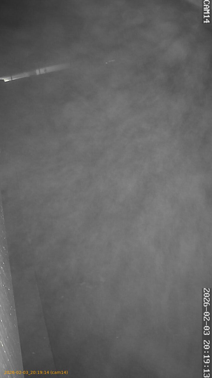 thumbnail_20260203201914