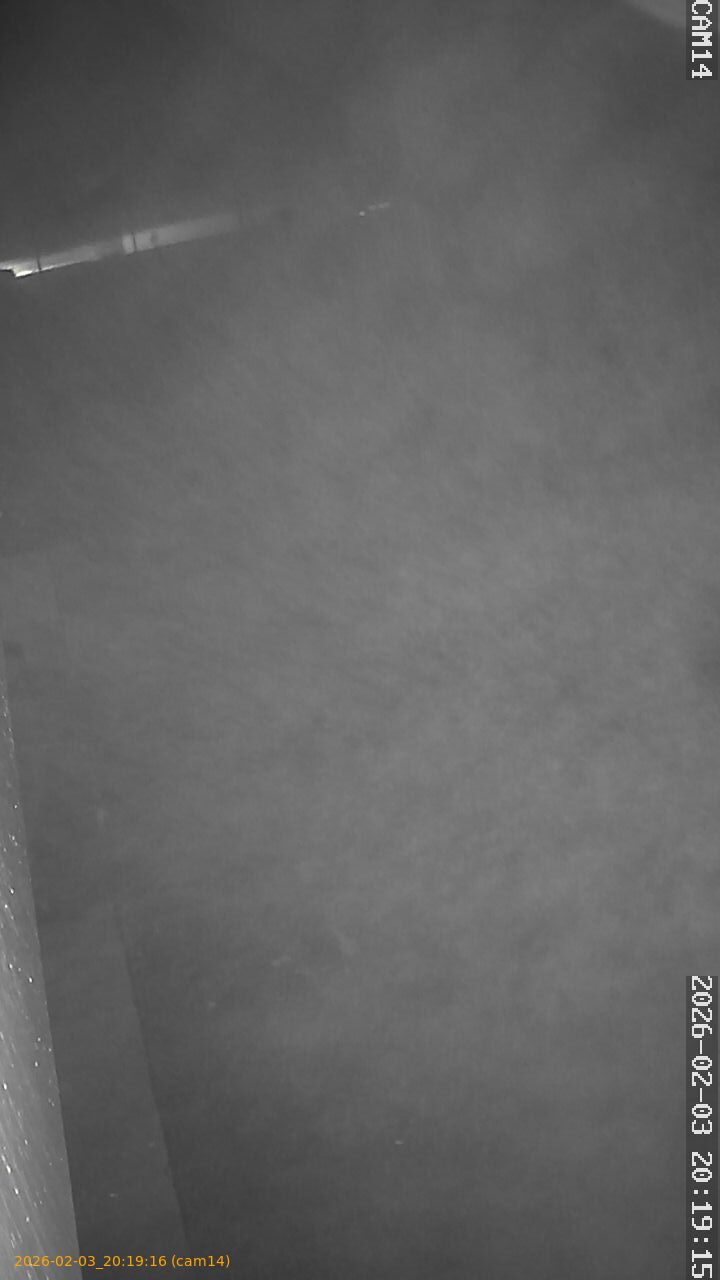 thumbnail_20260203201916