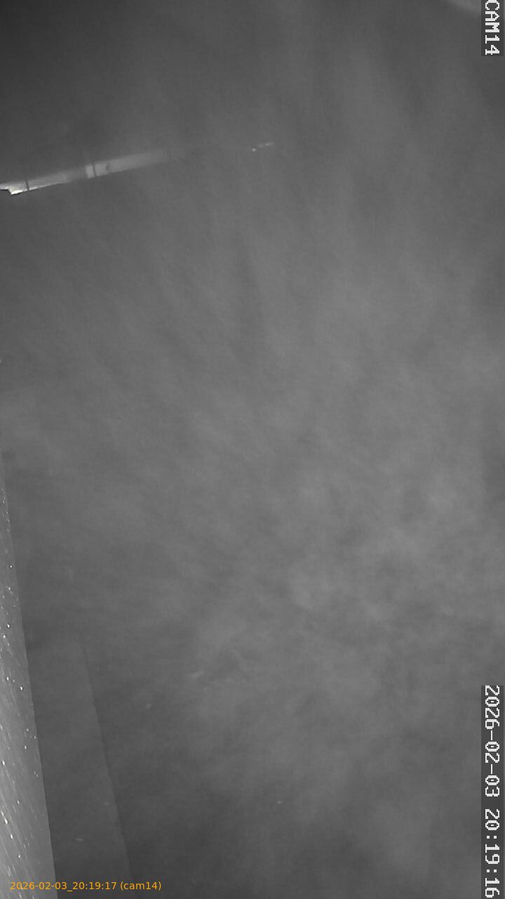 thumbnail_20260203201917