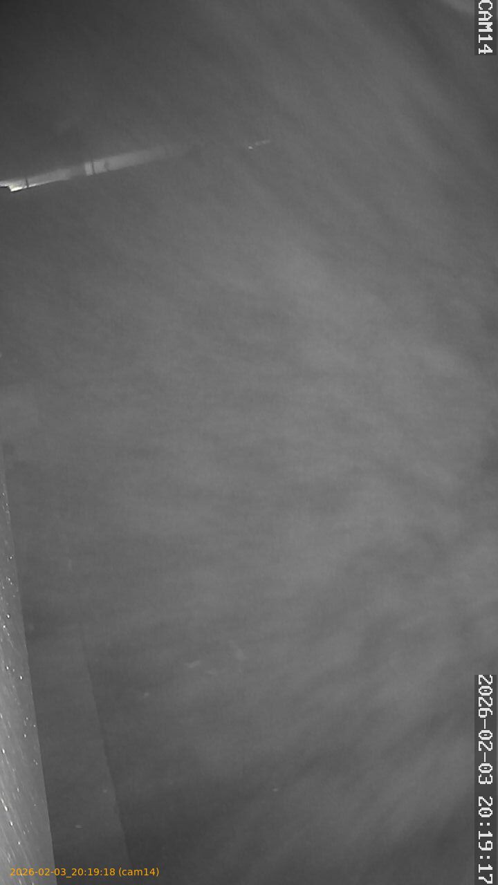 thumbnail_20260203201918