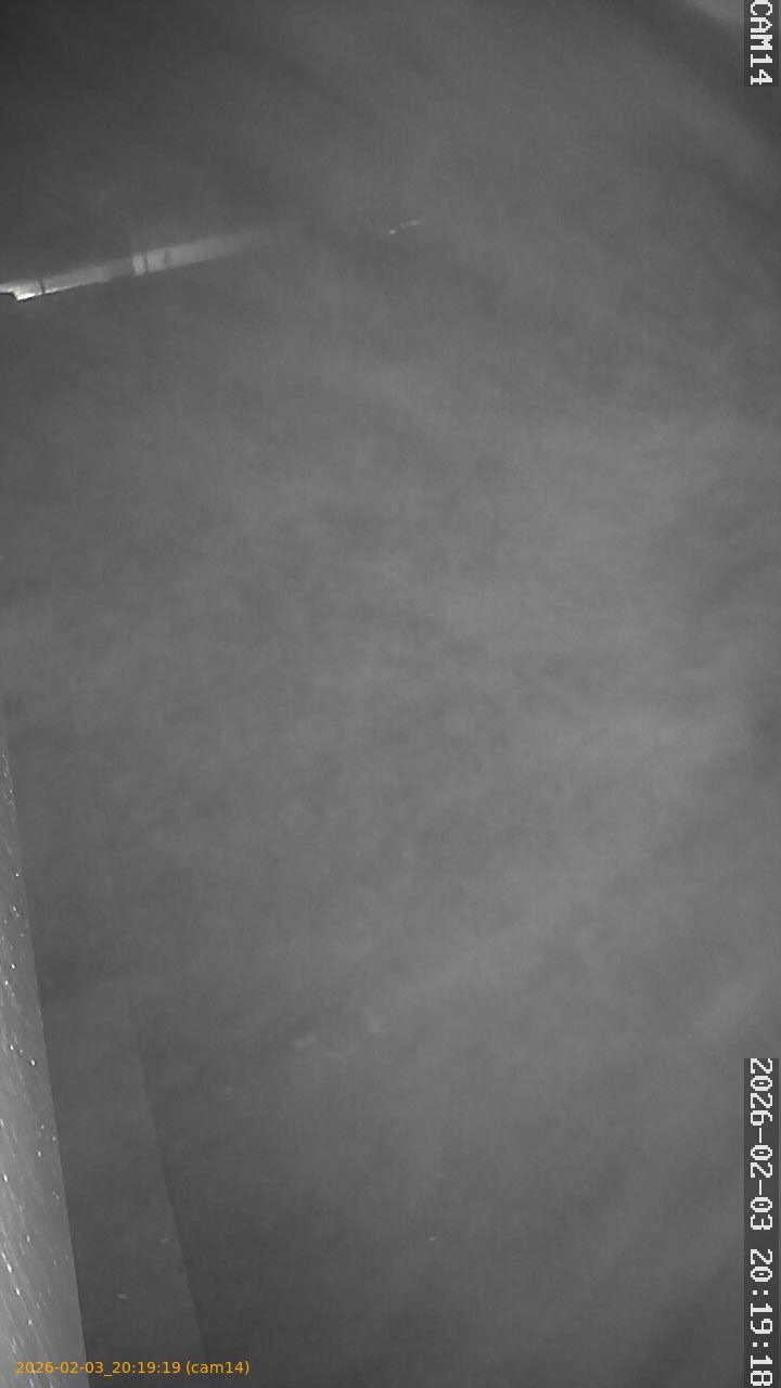 thumbnail_20260203201919