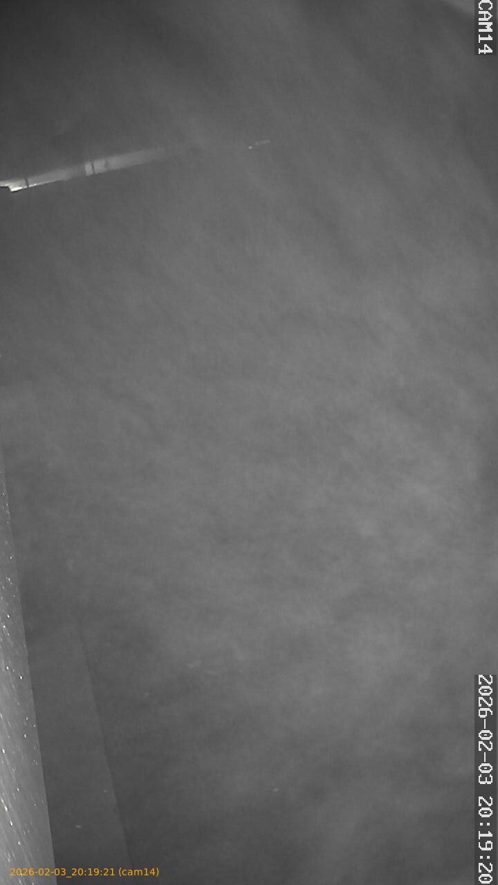 thumbnail_20260203201921