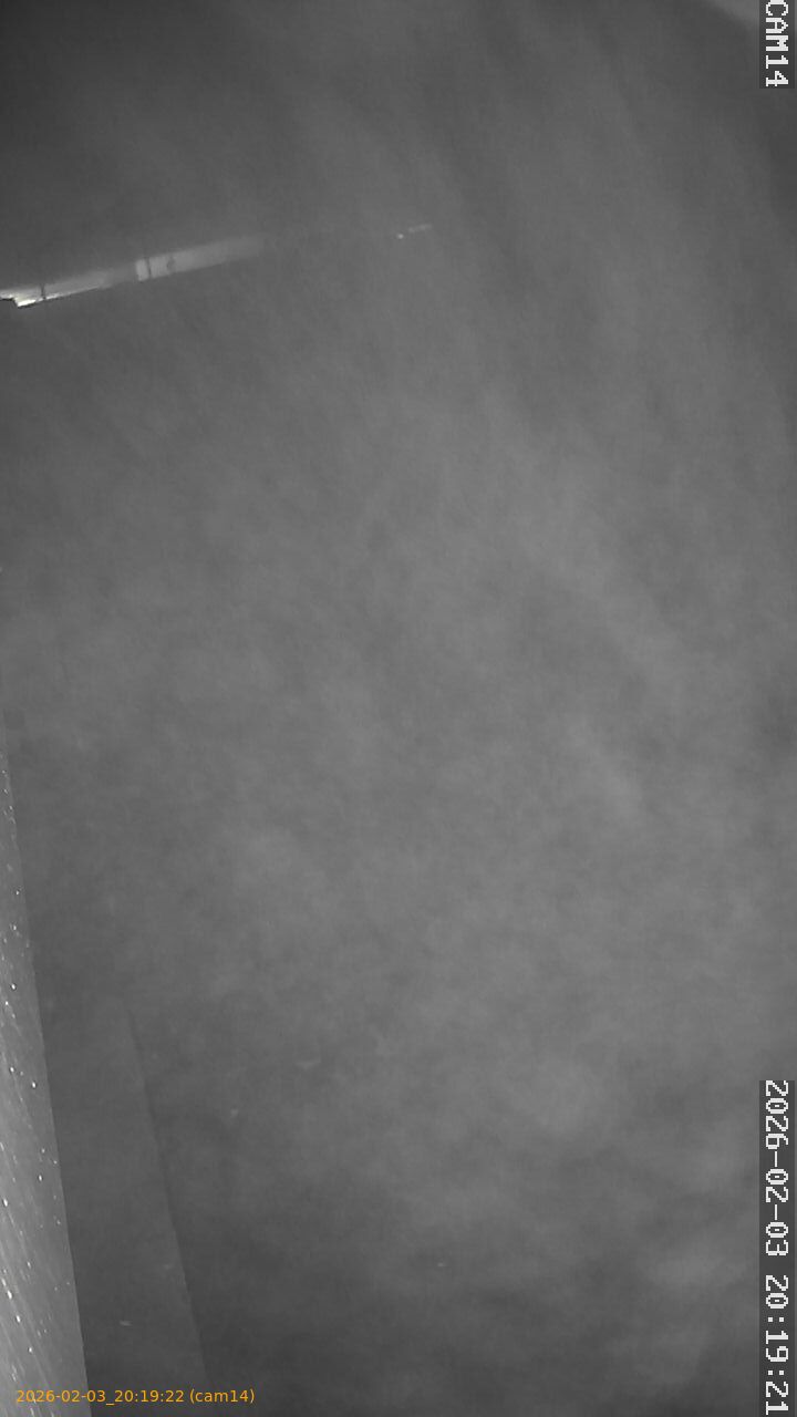 thumbnail_20260203201922