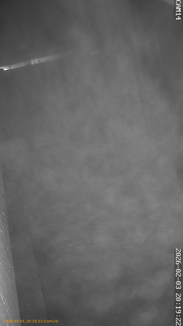 thumbnail_20260203201923