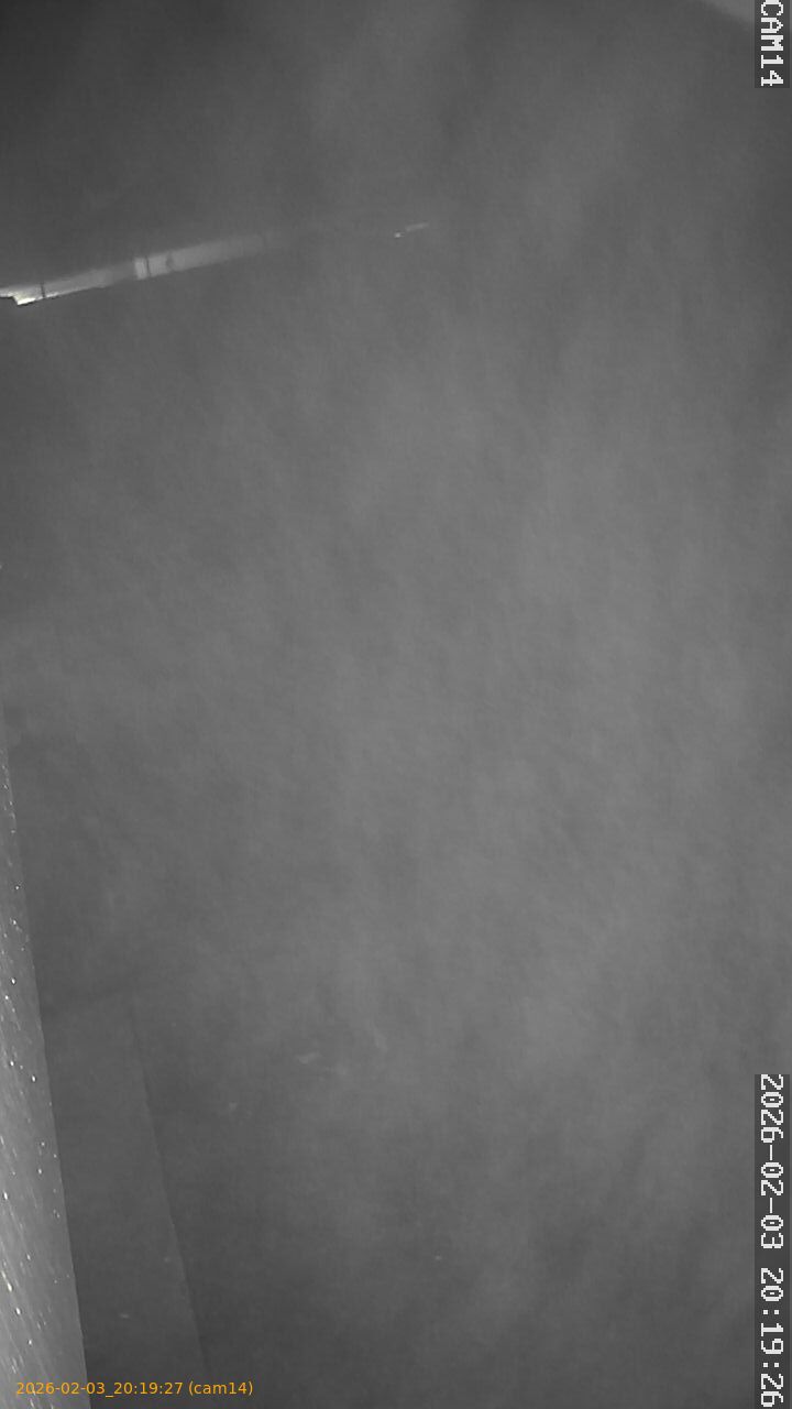 thumbnail_20260203201927