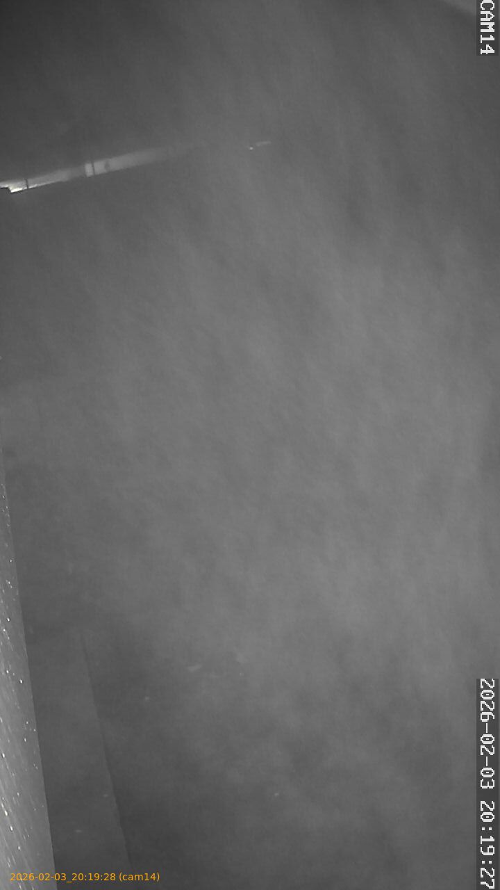 thumbnail_20260203201928