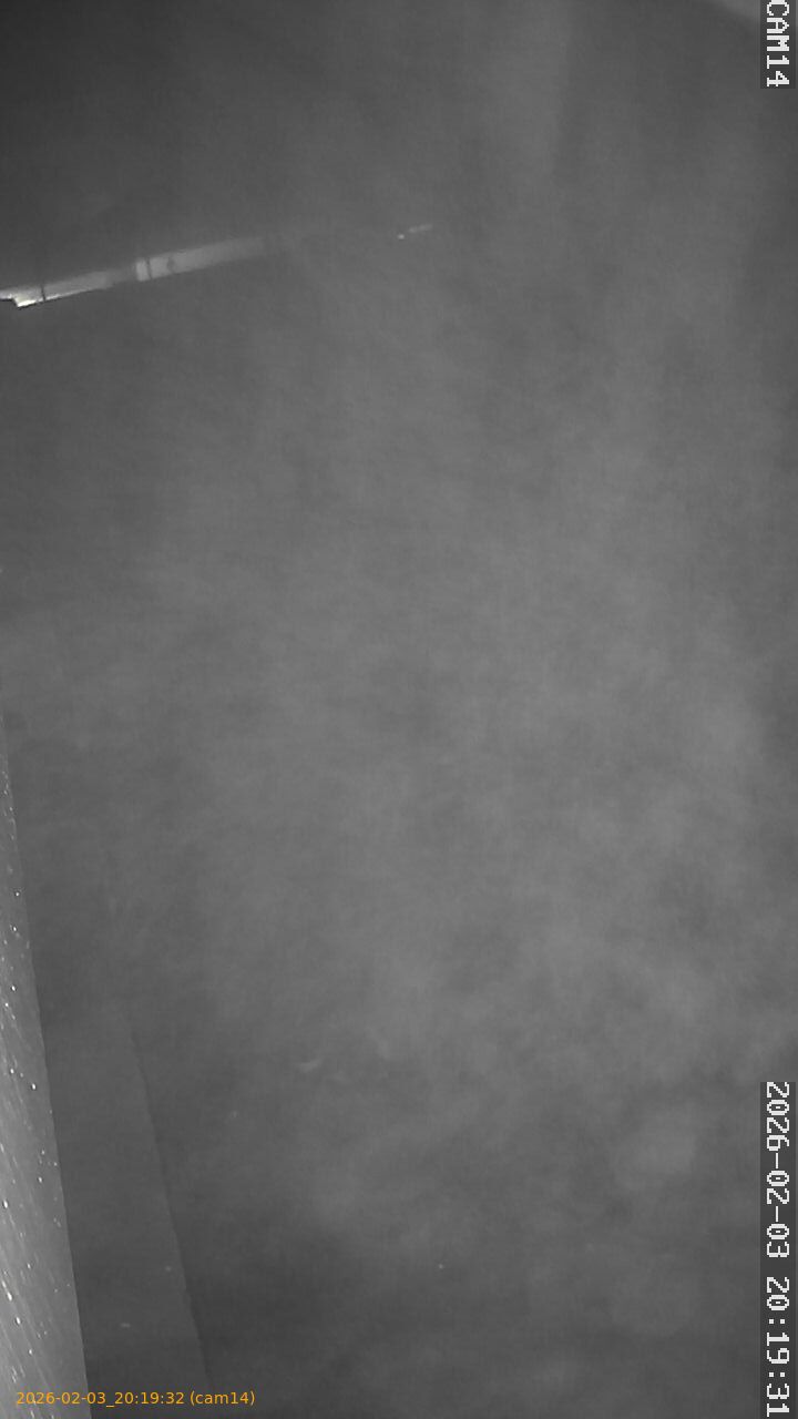 thumbnail_20260203201932