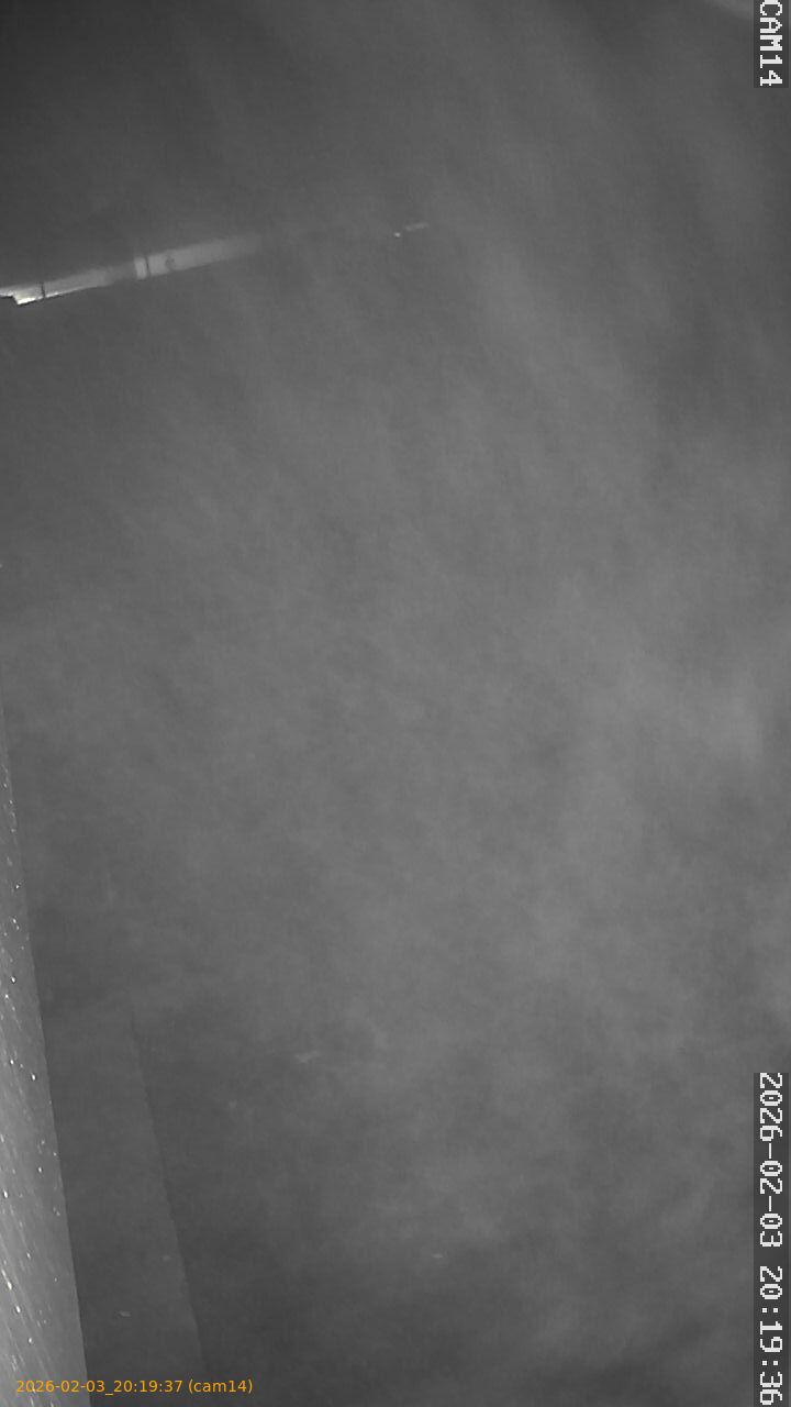 thumbnail_20260203201937