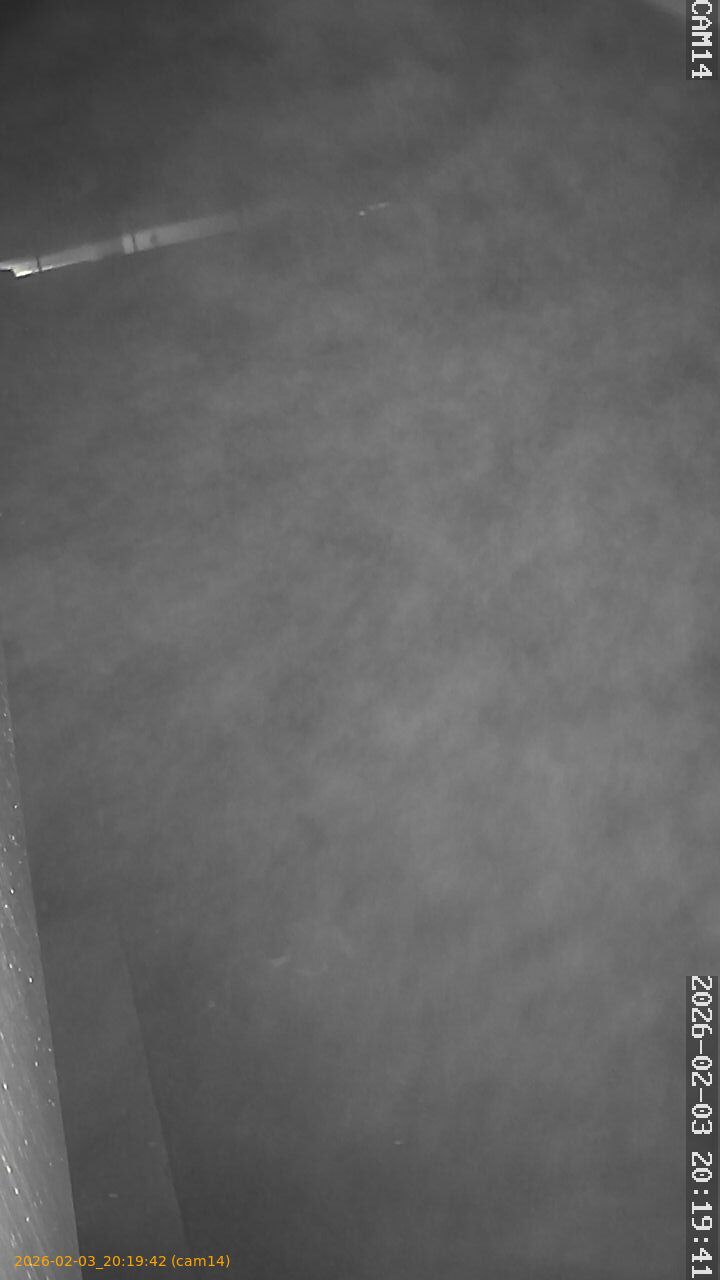 thumbnail_20260203201942