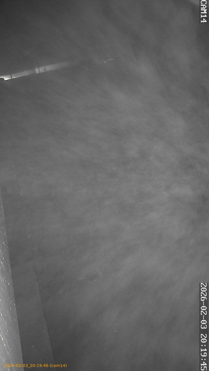 thumbnail_20260203201946