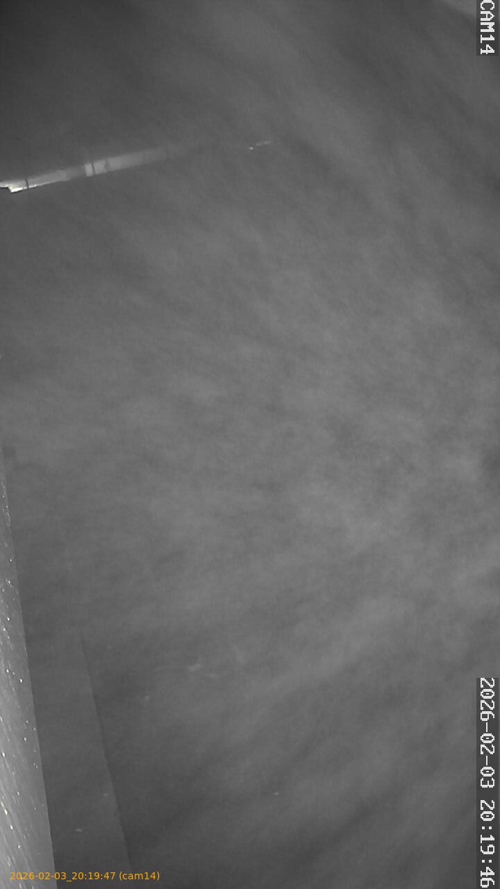 thumbnail_20260203201947