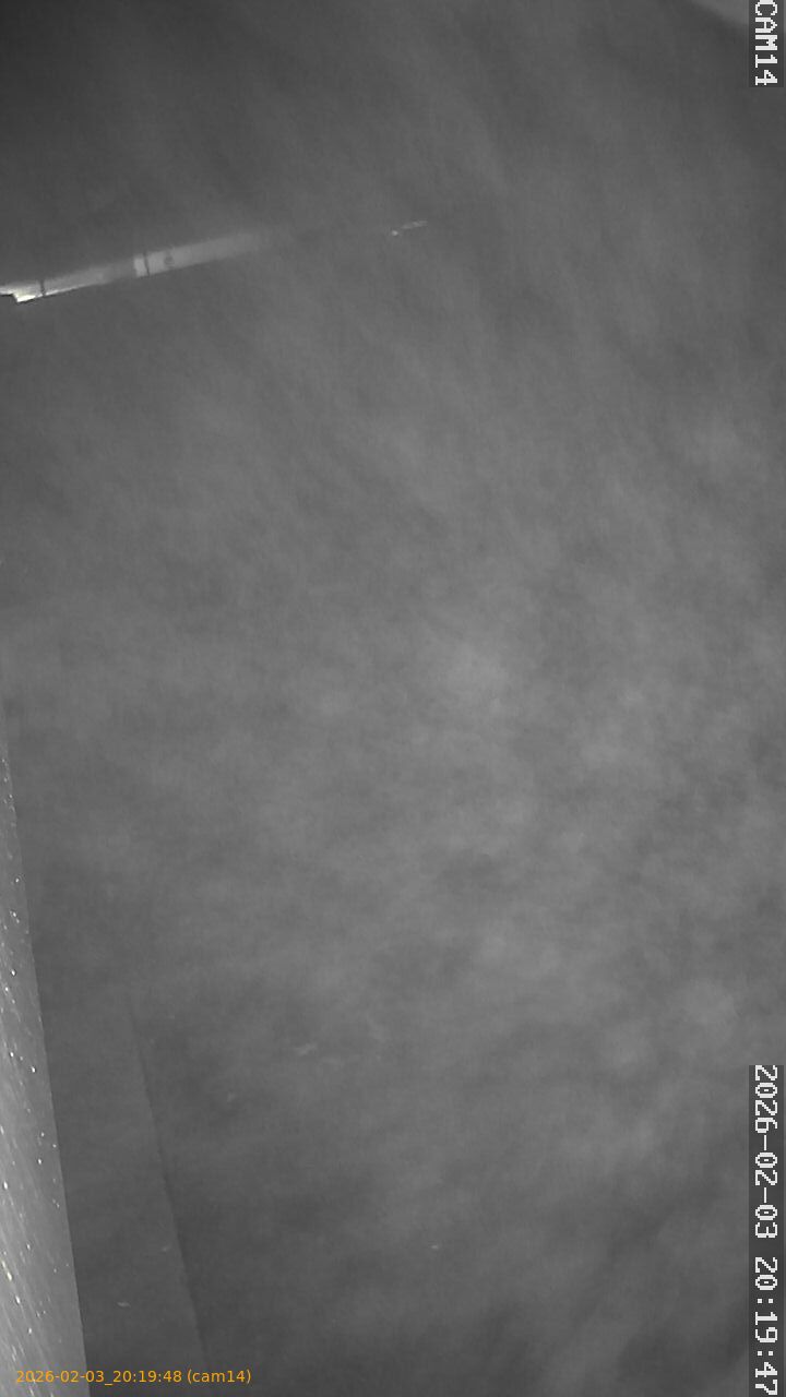 thumbnail_20260203201948