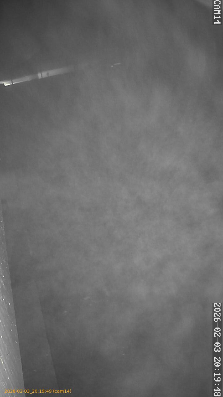 thumbnail_20260203201949