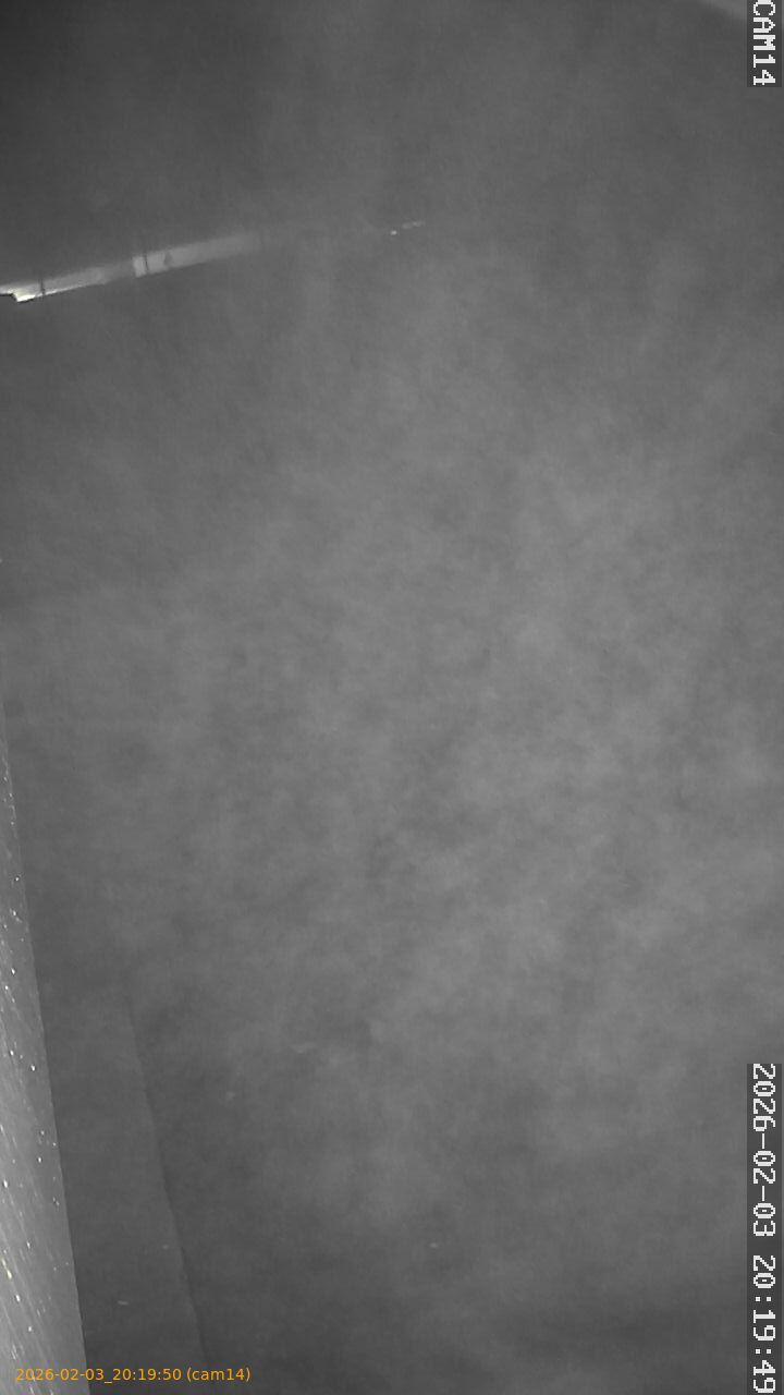 thumbnail_20260203201950