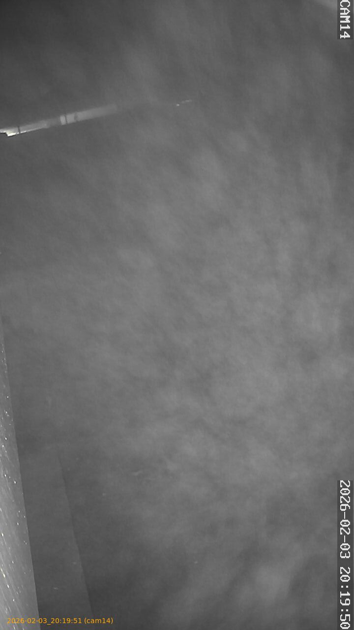 thumbnail_20260203201951