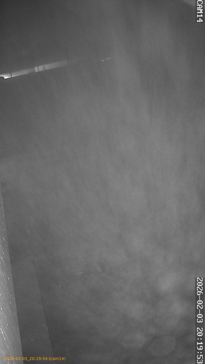 thumbnail_20260203201954