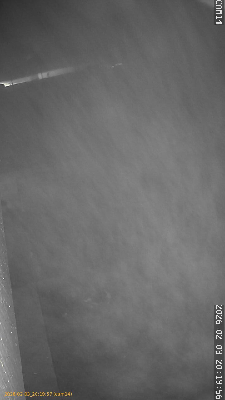 thumbnail_20260203201957