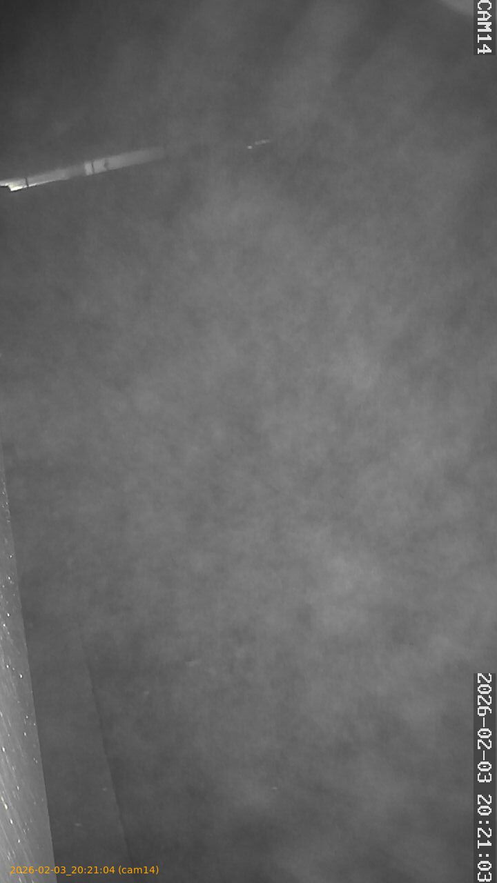 thumbnail_20260203202104