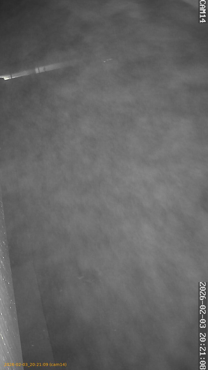 thumbnail_20260203202109