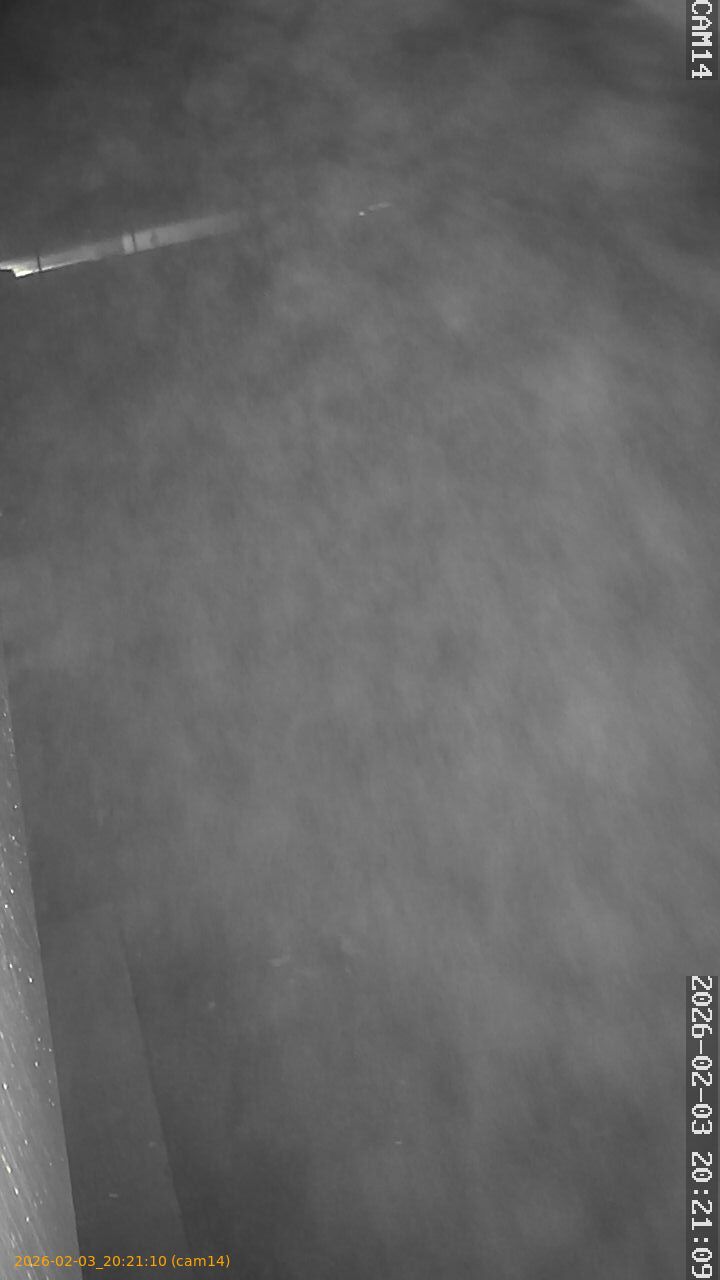 thumbnail_20260203202110