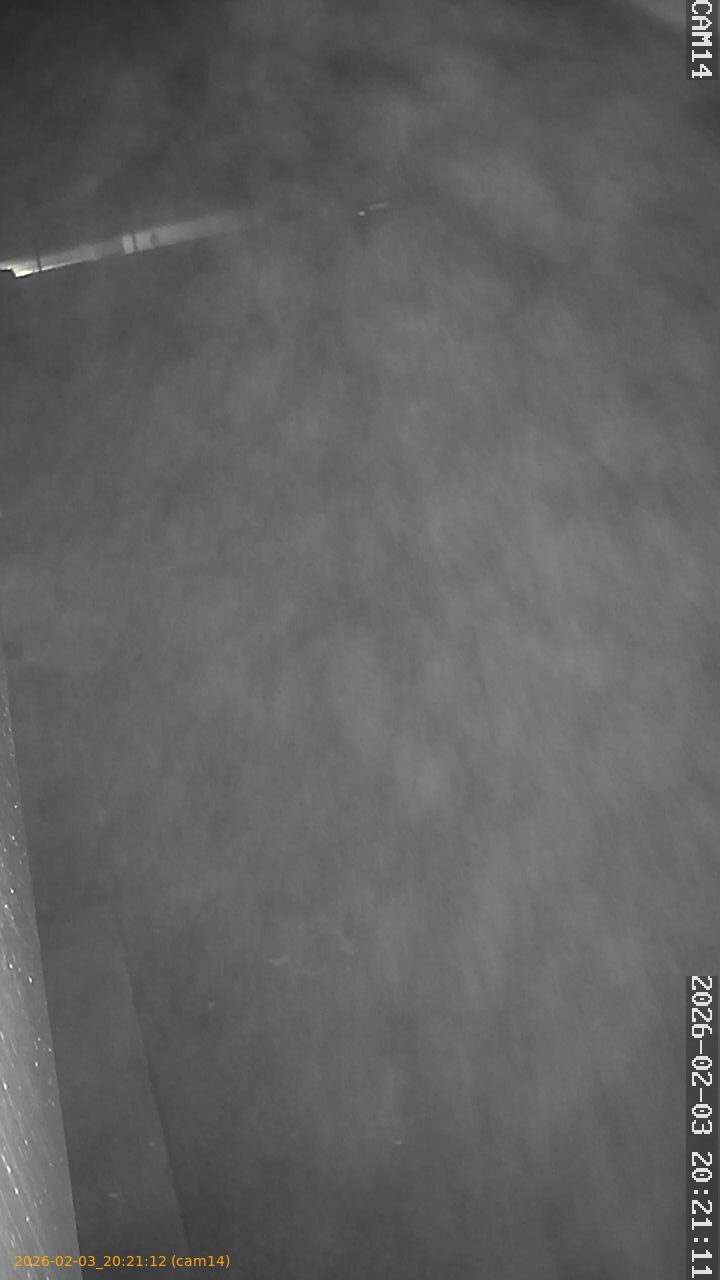 thumbnail_20260203202112