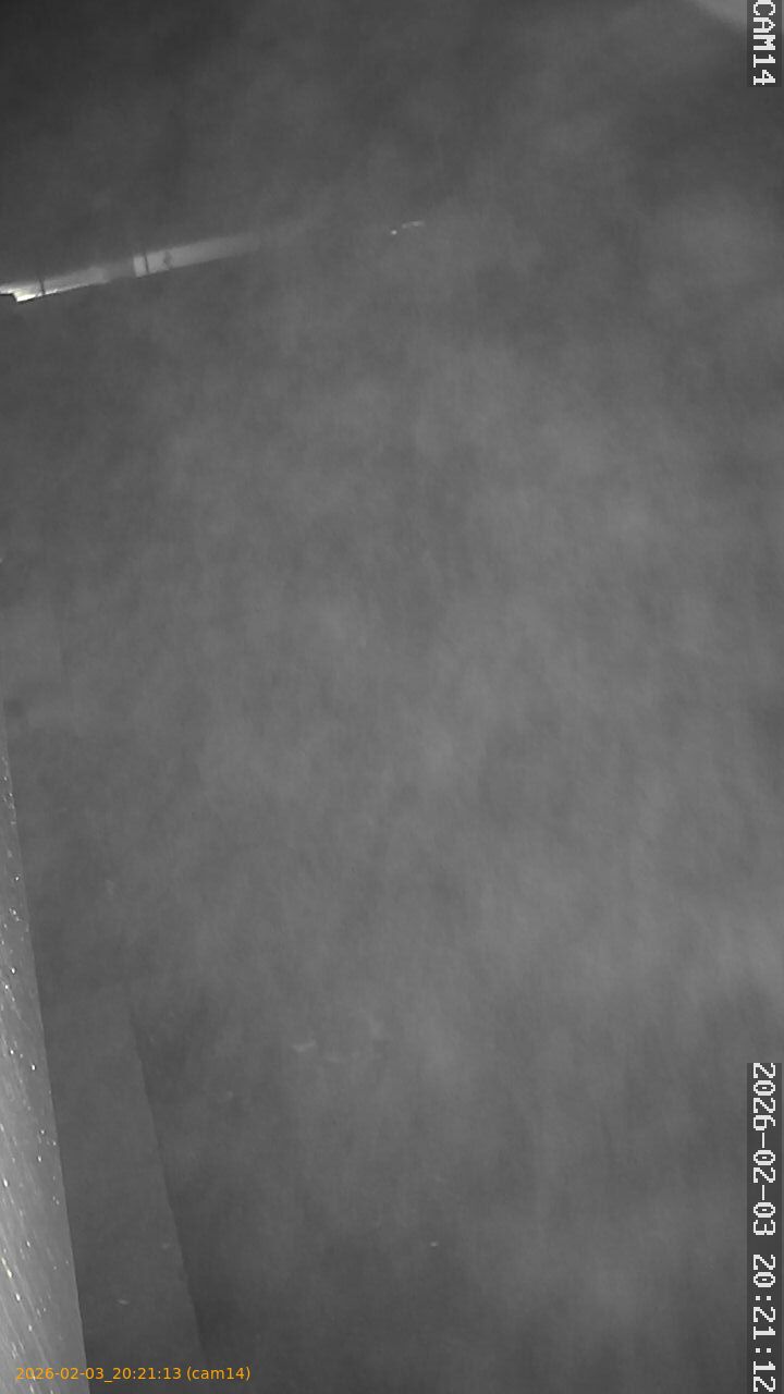 thumbnail_20260203202113