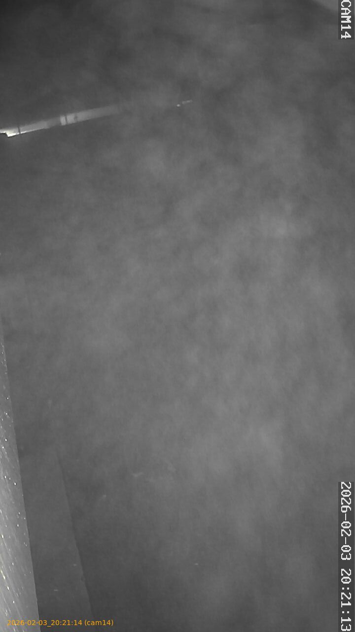 thumbnail_20260203202114