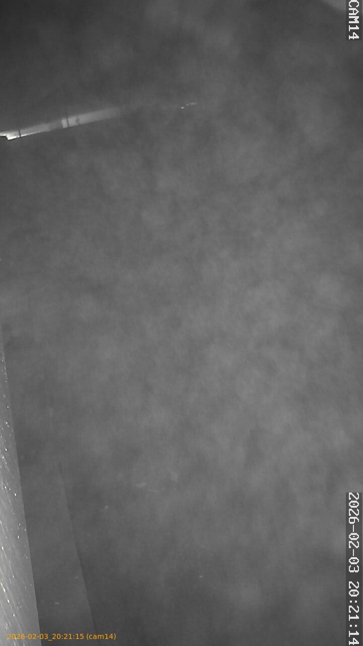 thumbnail_20260203202115