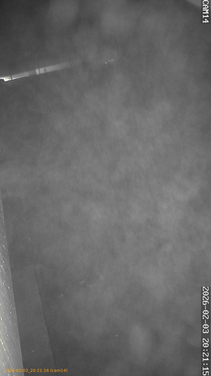 thumbnail_20260203202116