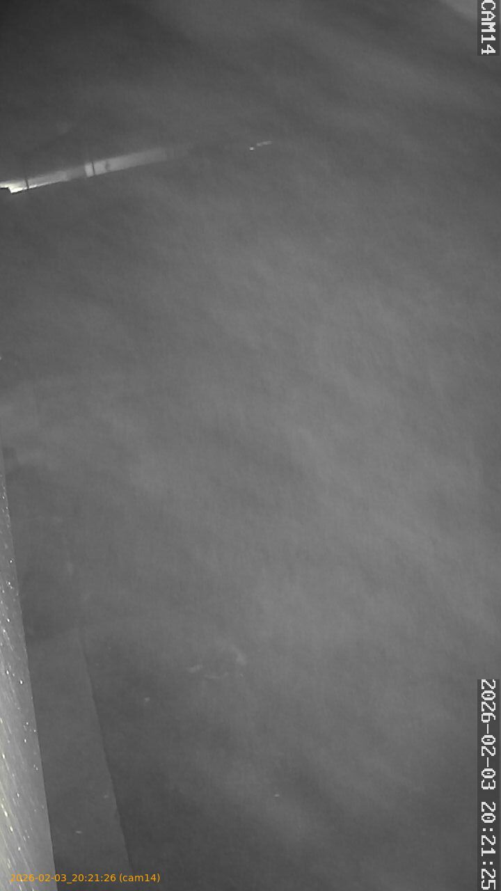 thumbnail_20260203202126