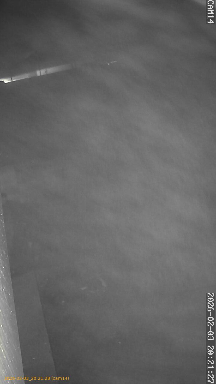 thumbnail_20260203202128