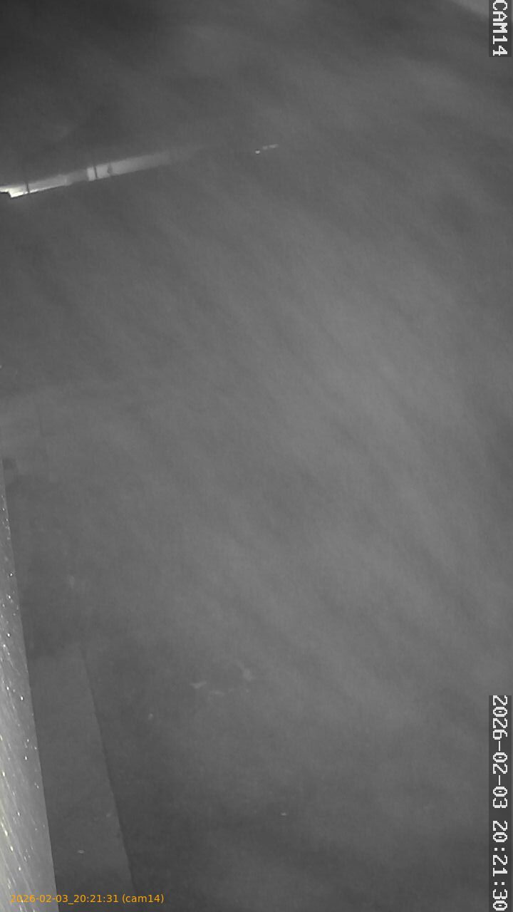 thumbnail_20260203202131