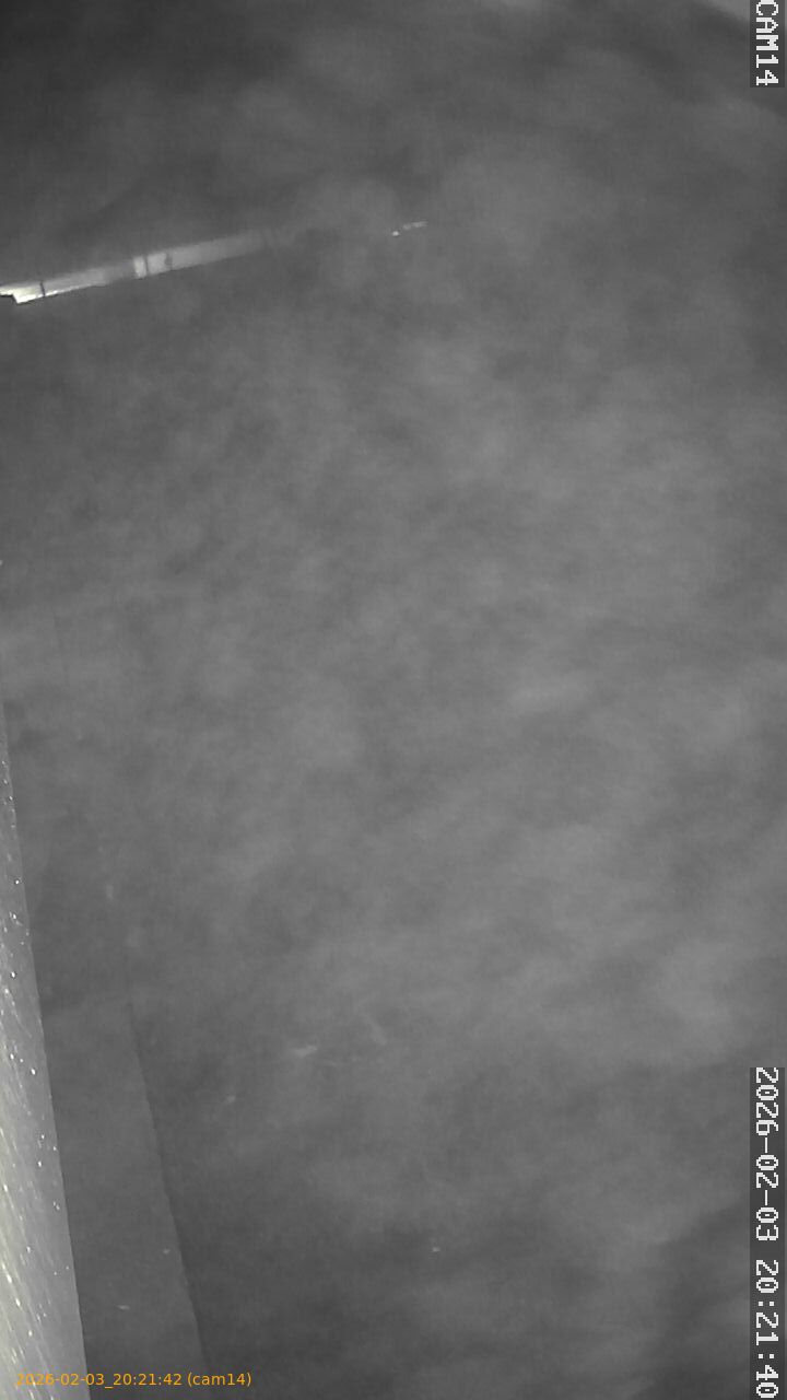 thumbnail_20260203202141