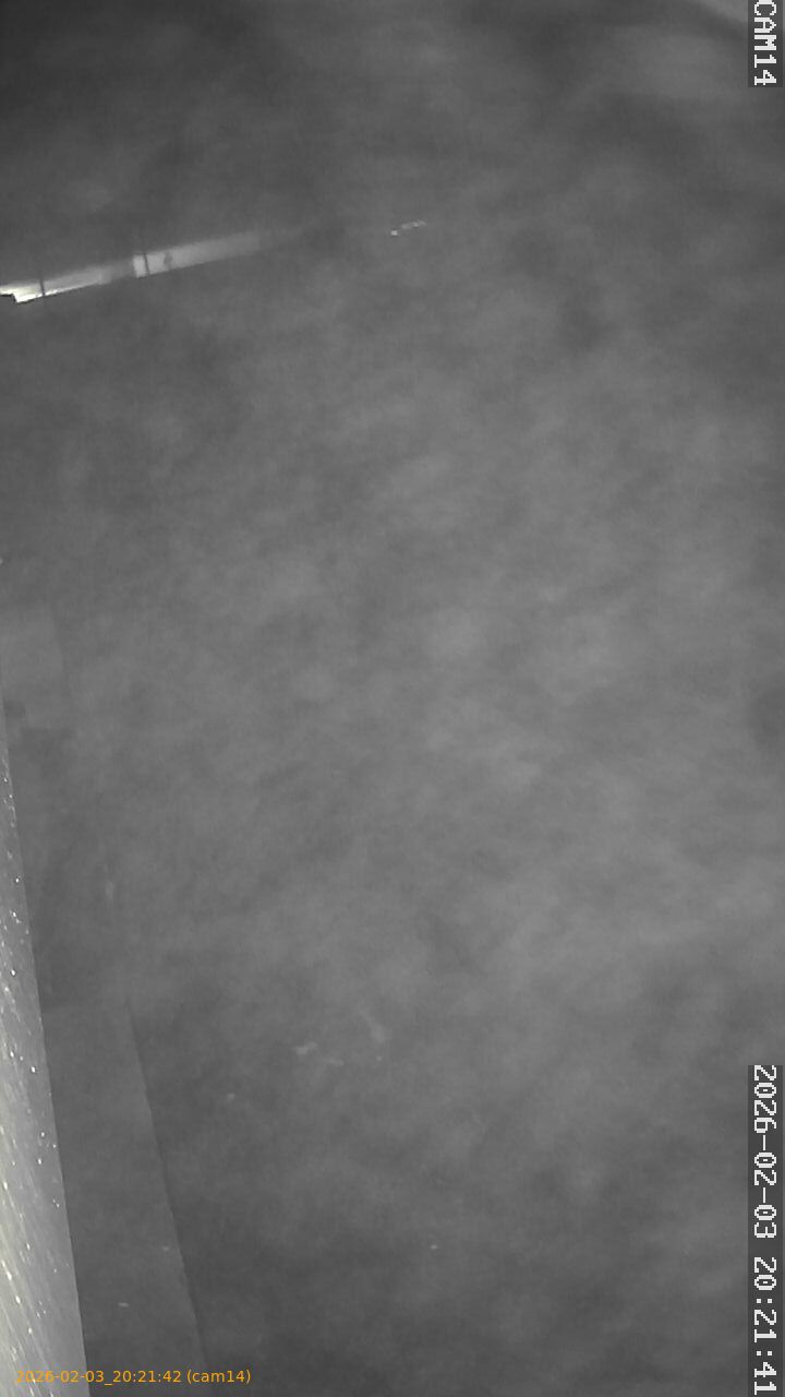 thumbnail_20260203202142