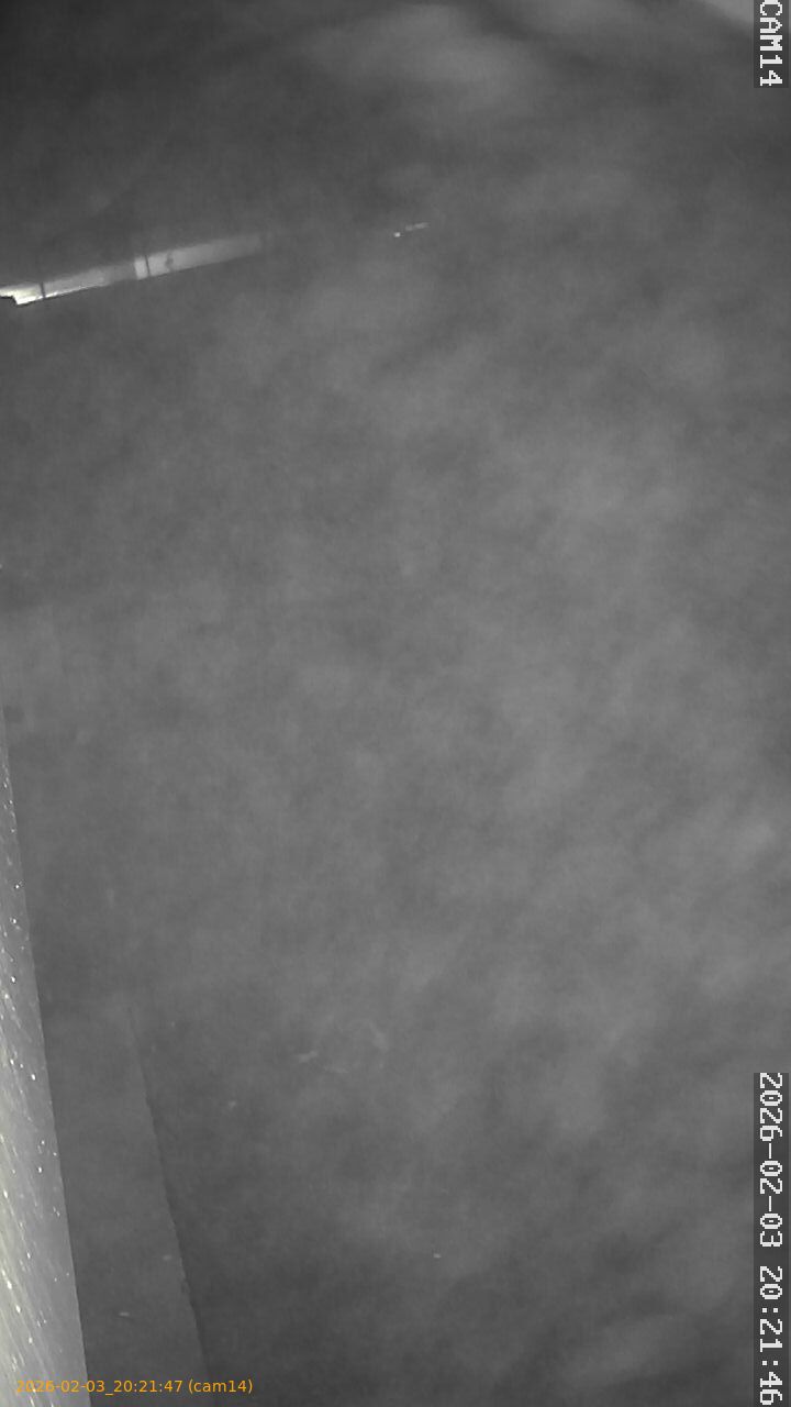 thumbnail_20260203202147