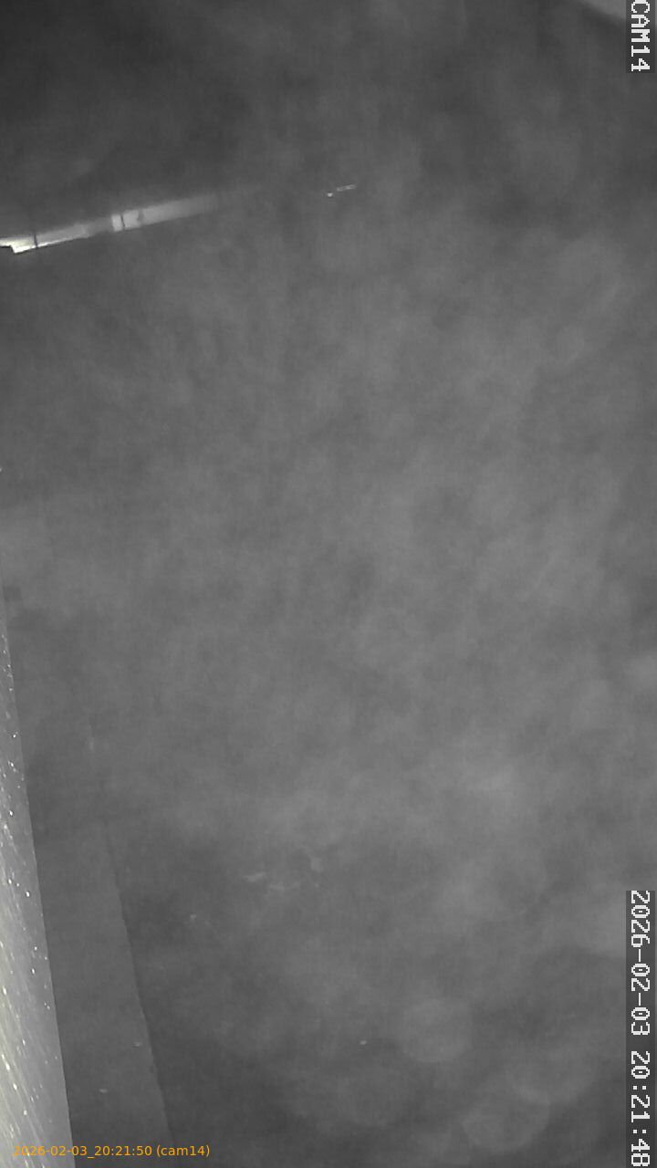 thumbnail_20260203202149