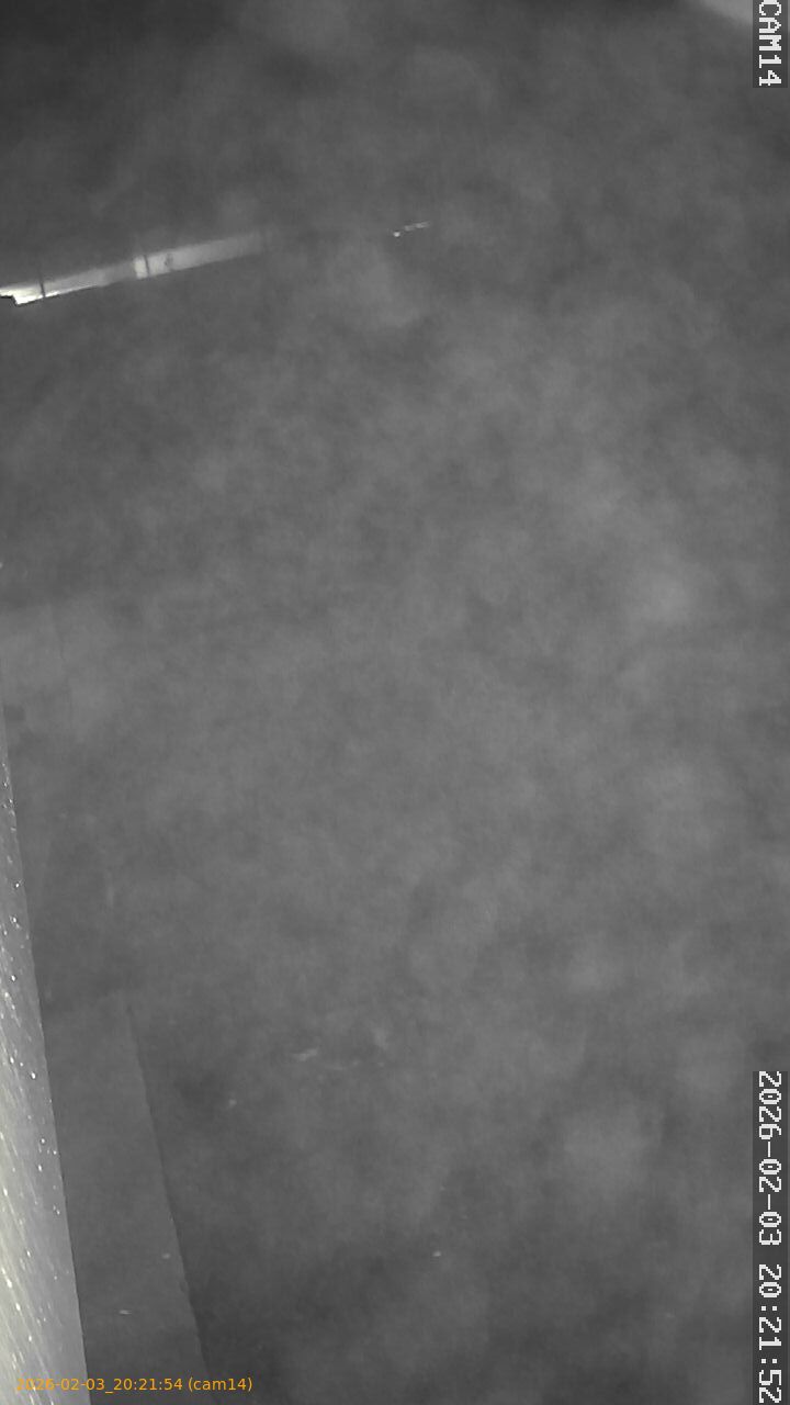 thumbnail_20260203202154