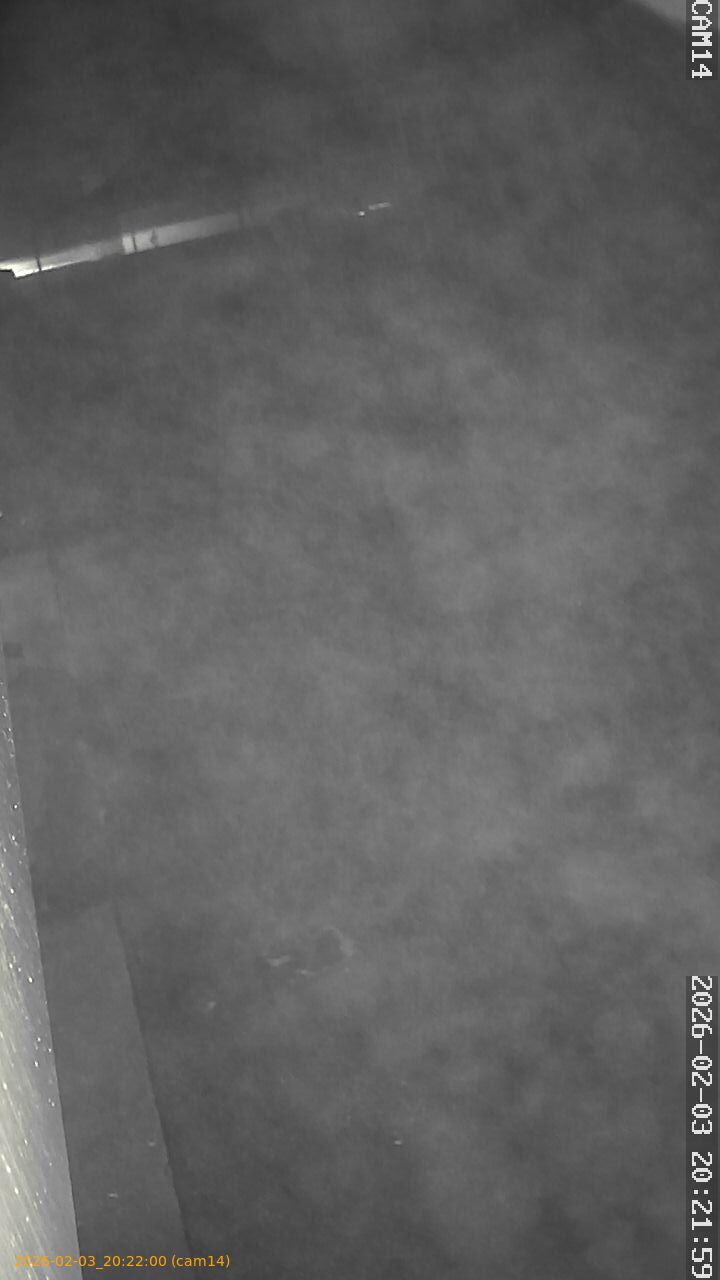 thumbnail_20260203202200