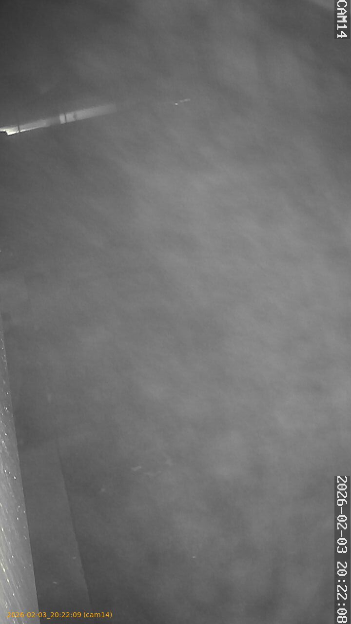 thumbnail_20260203202209