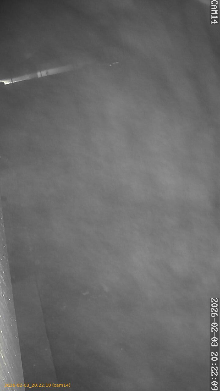 thumbnail_20260203202210