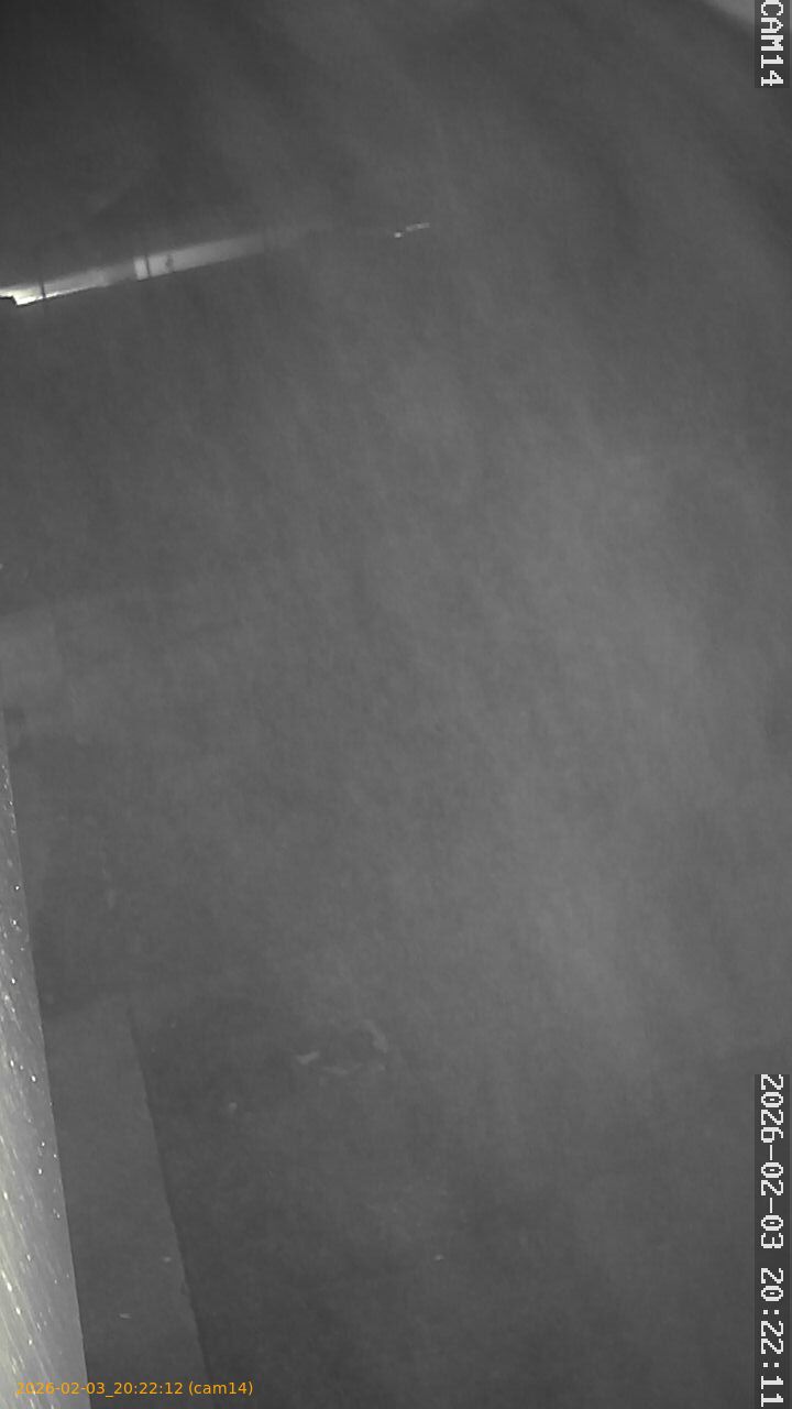 thumbnail_20260203202212