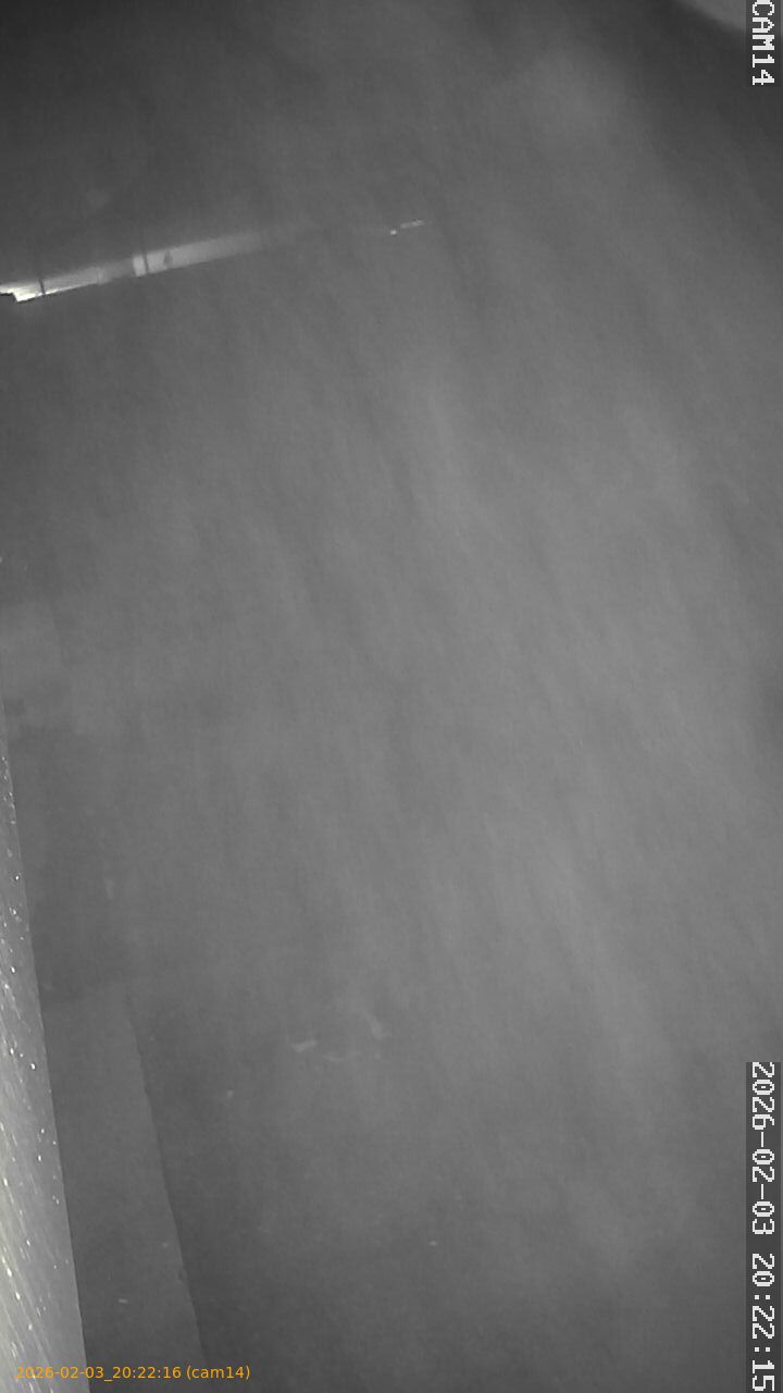 thumbnail_20260203202216