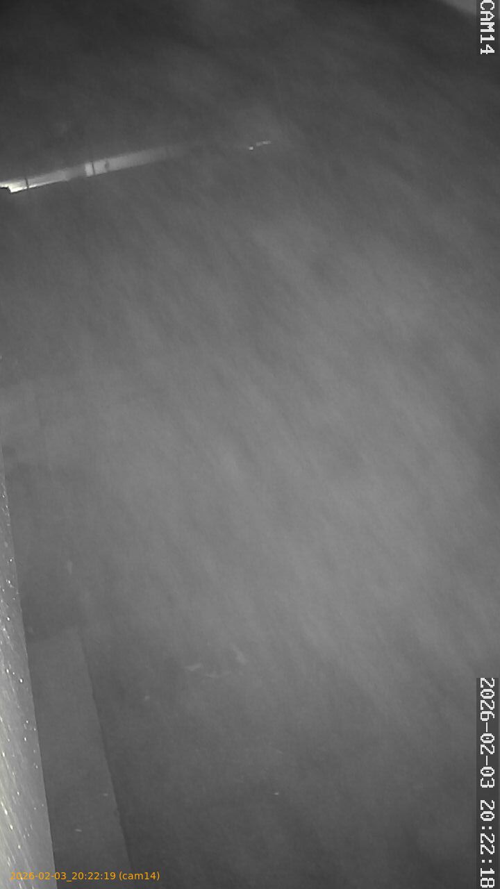 thumbnail_20260203202219