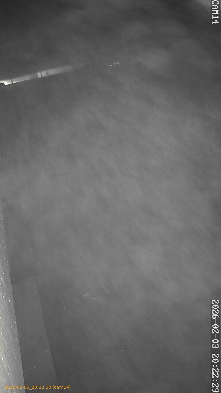 thumbnail_20260203202230