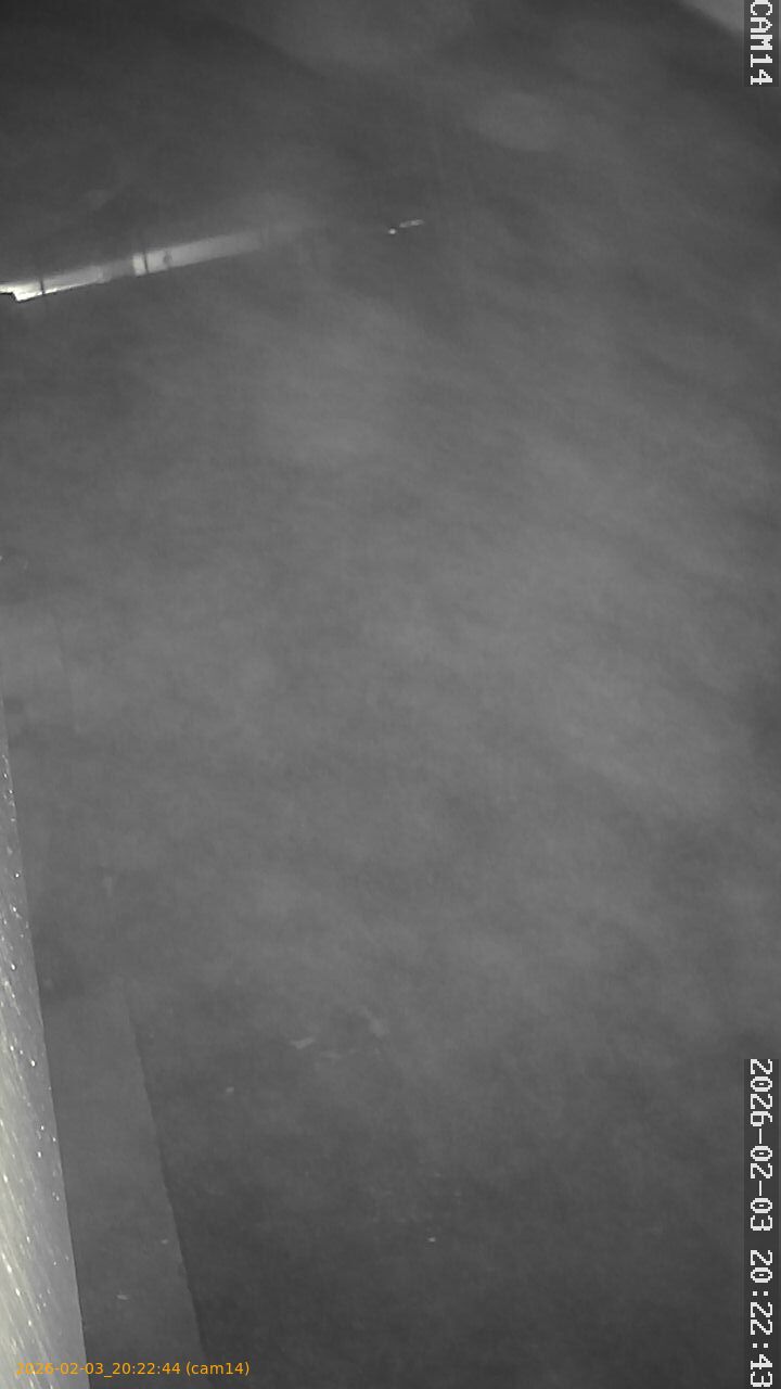 thumbnail_20260203202244