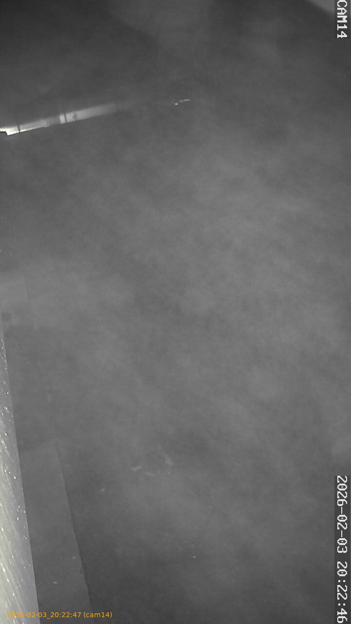 thumbnail_20260203202247