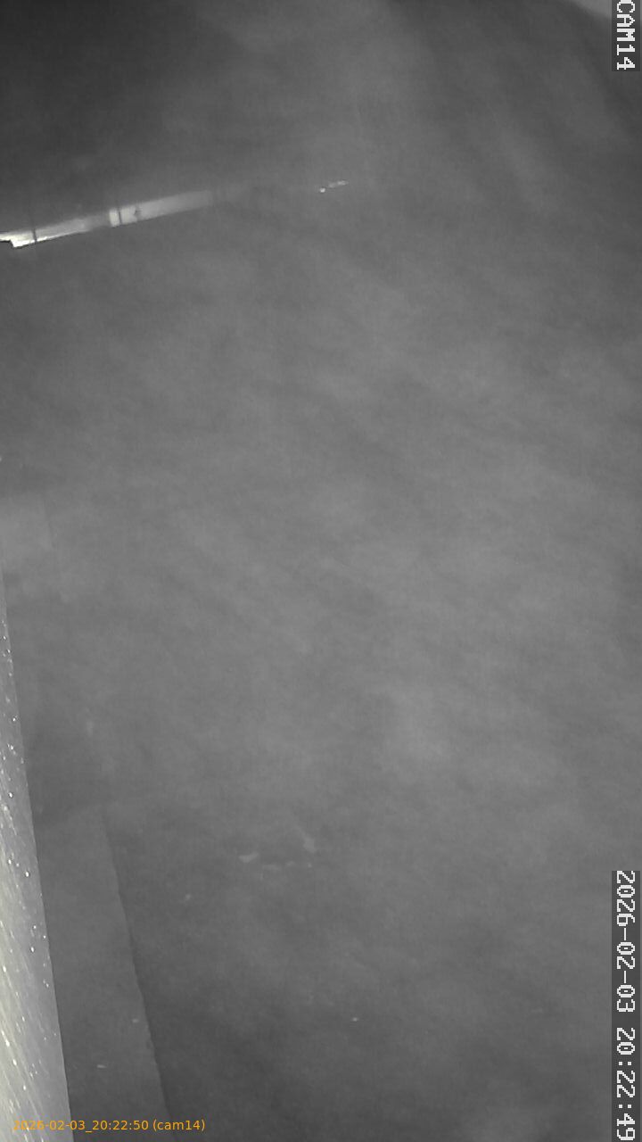 thumbnail_20260203202250